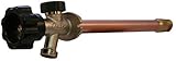 Prier 479-12 12-Inch Mansfield Style Frost with 1/2-Inch FIP and 3/4-Inch MIP [並行輸入品]
