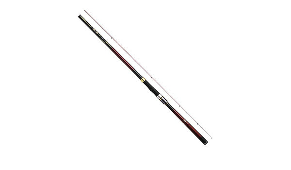 Amazon ダイワ 21 波濤 2 53 N ダイワ Daiwa 磯竿