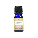 アンドエスエイチ アロマ 水溶性 エッセンシャルオイル ユーカリラディアタ 10ml