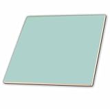 3dRose ct_159844_2 Plain Mint Blue Solid Color Light Turquoise-Grey-Gray Modern Contemporary Simple 