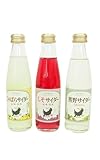 ベジタブルハート 熊野鼓動 サイダー しそ・うめみかん・じゃばら 各4本 (合計12本)