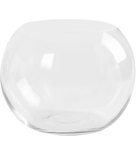 Amazon.co.jp: YARNOW 1 PCS 金魚 水槽 グラスアクア メダカ