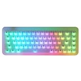 Akko(アッコ) YU01 レジン製キーボード 65%英語配列 透明キーキャップ 透明樹脂ボディ RGBバックライト USB / 2.4GHz / Bluetooth 5.0 ワイヤレス Akko V3 Piano Pro Switch (Special Edition) メカニカルキースイッチ ガスケットマウント テンキーレス 3750mAh バッテリー White Jade【国内正規品】