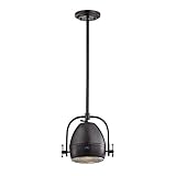 1-Light Modern Pendant Light in Polished Chrome [並行輸入品]