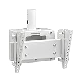 ハヤミ工産 テレビ天吊金具 テレビ取付金具 CHシリーズ用 50V型まで対応 ホワイト CH-43W