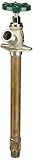 ARROWHEAD BRASS & PLUMBING 456-08LF 8" BRS Wall Hydrant [並行輸入品]