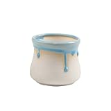 シンプルな多肉植物フラワーポットフローグレーズポットクリエイティブセラミックフラワーポット_A15