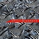 �i���̗F����