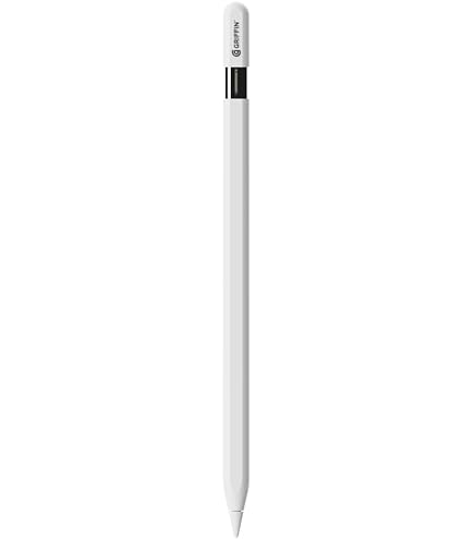 Apple Pencil (USB-C) : Amazon.sg: Electronics