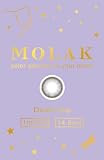 [ 宮脇咲良 イメージモデル カラコン ] MOLAK(モラク) 1MONTH 2枚入り ドリームグレー [0.00]