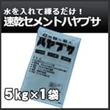 ノーブランド品 速乾セメント(簡易セメント)5kg