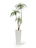観葉植物 大型 フェイク 造花 ♪【グリーンパーク】FRP H50×ユッカ＜タイプ：リバーロック/ブラックベース＞♪ インテリアグリーン アーティフィシャル