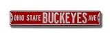 Ohio State Buckeyes Ave Street Sign