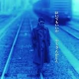 �����Ă�������