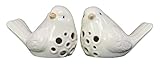 Urban Trends Collection 12917-AST 4 Piece White Gloss Porcelain Bird Figurine with Round Cutout Desi