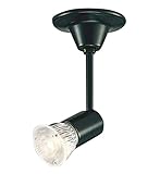 コイズミ照明 レトロフィット ダイクロイックハロゲン球形LEDランプ スポットライト 調光 フランジ ブラック塗装 ASE940196