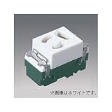 パナソニック 埋込抜け止め接地コンセント 15A 125V ベージュ WN1161F