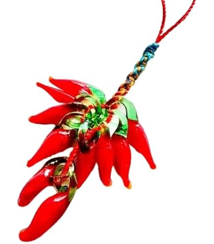 Amazon.co.jp: Fengshuibringluck 唐辛子 開運祈願グッズ 水 魔