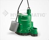 Hydromatic SW50A1 Cast Iron Sewage Pump [並行輸入品]