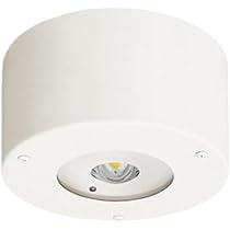 Amazon | パナソニック(Panasonic) 天井直付型 LED 非常用照明