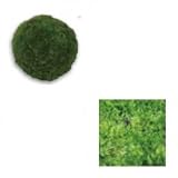 オンリーワン　植栽　コケ・丘マリモ（山苔）　サイズ180ｍｍ　HE3-K409