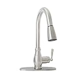 Dyconn Faucet TB1H18-BN Signature Series Salish Pull Down Single Handle Spray Kitchen Faucet, Brushe