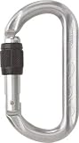 [T-8193731]ＡＬＰＩＮ　カラビナ　ＯＶＡＬＯ　スクリューロック　線径１２．５ KA11A