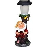 永光 虹色ソーラーライト 森の小人 ブック [並行輸入品]