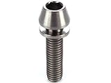 64チタン M5×20mm P=0.8 ワッシャー組込 テーパーヘッド キャップボルト 平座金付き 六角穴付ボルト チタン原色