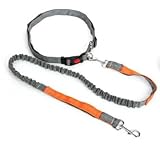 Longfan 犬 リード 伸縮リード 光るリード ハンズフリー 腰ベルト 肩 ショルダー 2頭引き 多頭飼い ランニング 犬用リード 犬のリード (オレンジ)