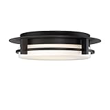 WAC Lighting FM-W33616-BZ Contemporary Compass 16 Inch LED Flush Mount In Bronze, Large [並行輸入品]