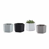 T4U 7CM 陶器ミニ植木鉢 六角形 マット表面 多肉植物 サボテン鉢 フラワーポット プランター容器 フルカラー 4個入り