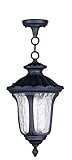Livex Lighting 7854-04 Oxford 1 Light Outdoor Chain Hang, Black [並行輸入品]