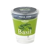 JR59079 フレッシュベジ　ハーブバジル