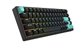 ARBITER Polar 65 磁気CNCゲーミングキーボード クイックトリガー付き サロンエフェクトスイッチ CNCアルミニウムフレーム クイックキー 65%コンパクト RGB光沢 ダブルPBTキーキャップ