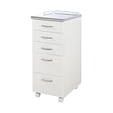 【地球家具】メディカルワゴン 医療用 ワゴン [完成品] [国産 日本製] [耐荷重30Kg ステンレス天板] [開閉がスムーズなスライドレール式引出し] [背面が気にならない全方向化粧板仕上げ] [キャスター付] 幅35cmタイプ ホワイ