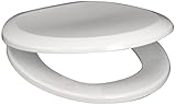PlumbTech 260-04 Premium Slow Close Round Toilet Seat with Adjustable Hinge, Cotton White by PlumbTe