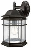 Dolan Designs 9235-68 Barlow Outdoor Wall Light, 13", Winchester [並行輸入品]