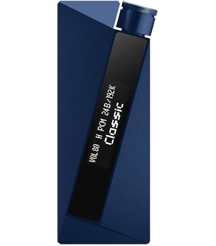 LUXURY＆PRECISION USB DAC W4EX (ケース付/美品) LUXURY&PRECISIONからヘッドフォンアンプ W4とW4EXが発売