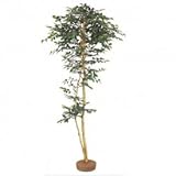【人工植栽】　タカショー グリーンデコ和風 サザンカ 鉢無　1.8m　GD-135