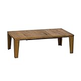 NICHIBI WOOD WORKS ARR 120 天板：オーク 脚：国産ナラ材使用 コンパクトサイズのデザインヴィンテージ調こたつ ローテーブルライトブラウン 省スペース 国産