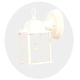 Alico Lighting 5001TW/SD Acclaim Lighting Textured White Finished Outdoor Sconce with Clear Seeded G