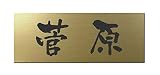 丸三タカギ 彫り込み済表札 アクリル APG2-G-1-3-菅原 【完成品】