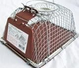 チュー・ハウス(大) - ねずみ 捕獲器 アSNDZ