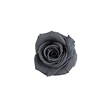 florever　フロールエバー　フレッシュルックスプレーローズ　アッシュグレー　8輪　Φ3.5～4.5cm　 プリザーブドフラワー　Spray Rose　Ash Gray