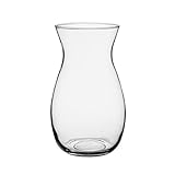 Syndicate Sales 10 5/8' Jordan Vase, Clear [並行輸入品]