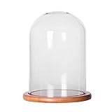 【ノーブランド品】 ガラス　カバー　景観花瓶　テラリウム　竹　トレイ　植物　装飾　全2サイズ - L