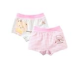 2つの通気性の快適な下着のブリーフのセット赤ちゃんのためのピンクのパンティー、2〜3年