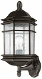 16-3/4-Inch Outdoor Wall Light [並行輸入品]