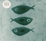 Bamboo: the Best of the Woodentops by Woodentops